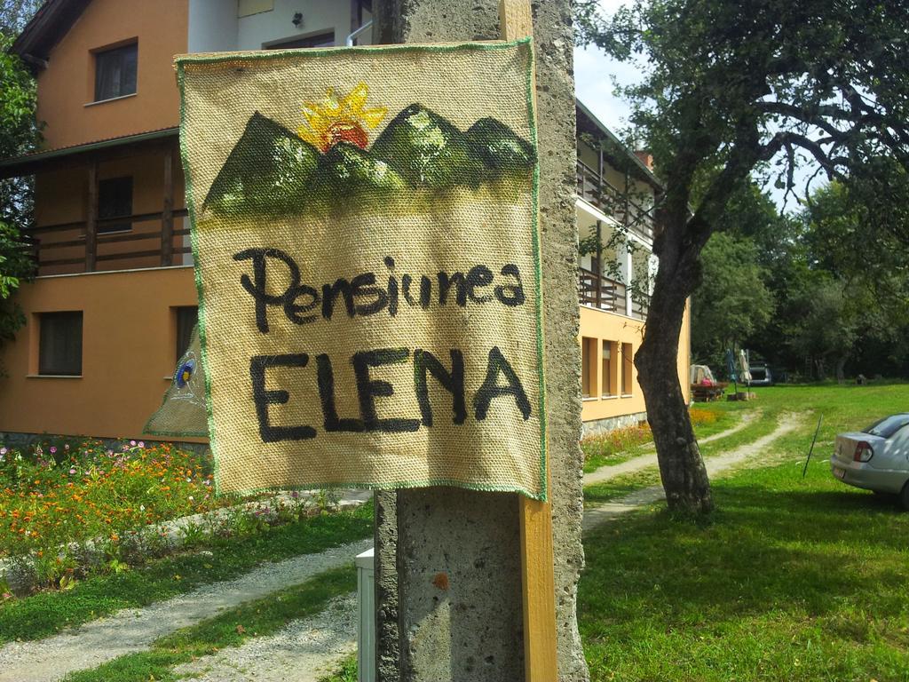 Pensiunea Elena Vistisoara Номер фото