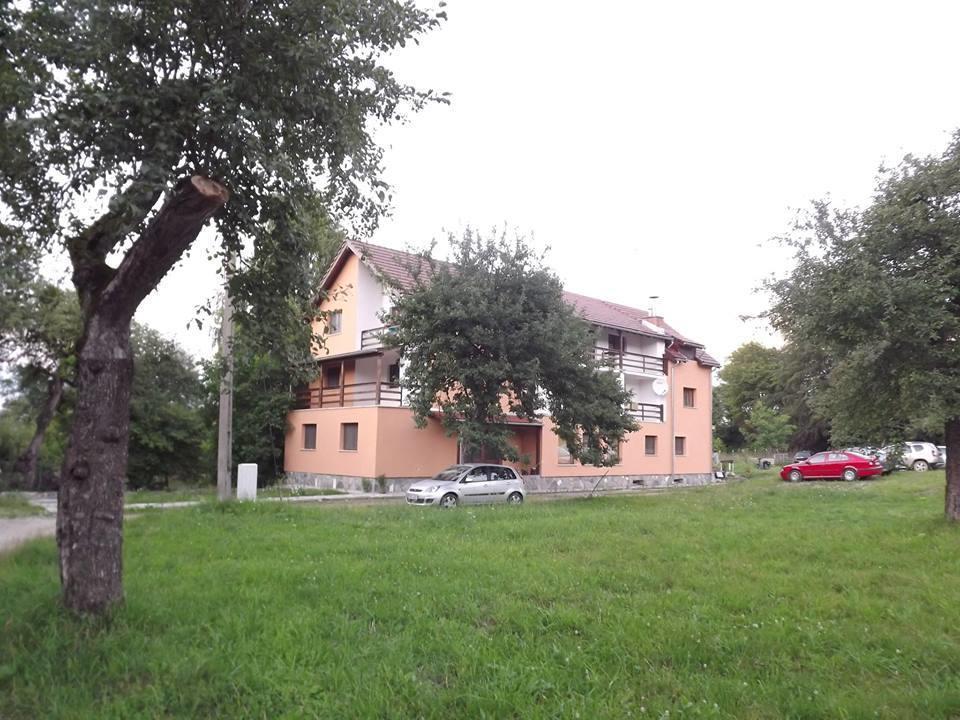 Pensiunea Elena Vistisoara Екстер'єр фото